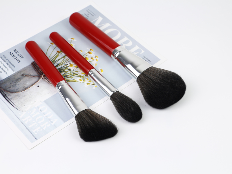 Best Brush Sets for Makeup