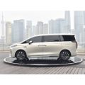 2024年Wey Gaoshan豪华MPV
