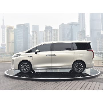2024 WEY Gaoshan Luxury MPV