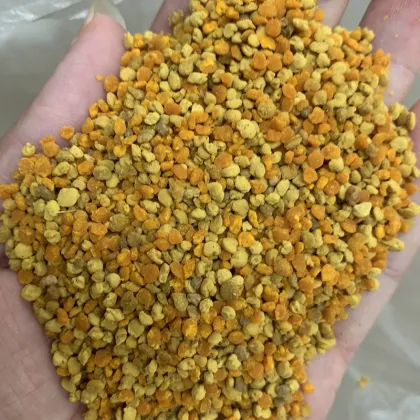 Good Quality New Arrivals High-end Listing Organic Honey Bee Pollen