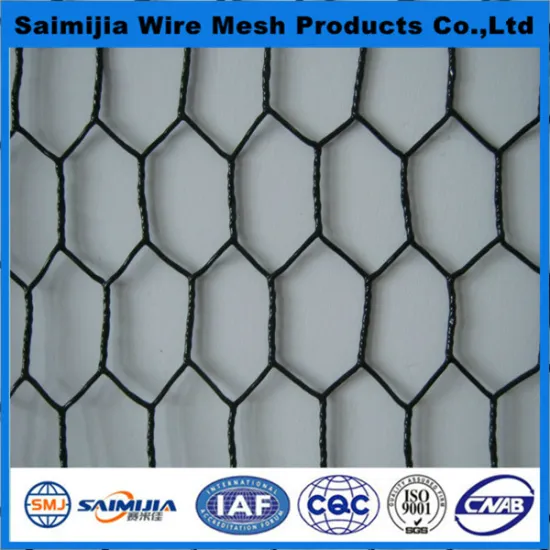 galvanized chicken wire netting / hexagonal wire netting/mesh