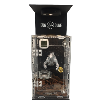 Tamanho personalizado Caixa de criação de acrílico extra espessa