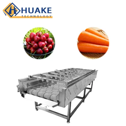 Double-Cylinder Fruit and Vegetable Washing Machine with Conveyor Belt