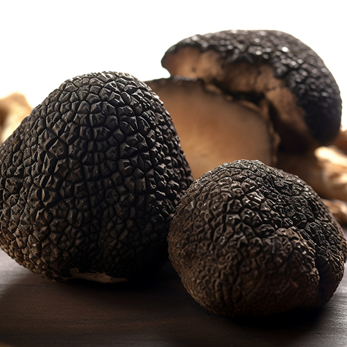 black truffle extract polysaccharide powder