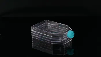 3-layer Cell Culture Flask with Vent Cap