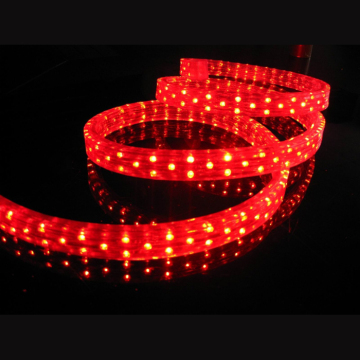Dongguan Beinuo 120v directional rope light for sale