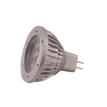 AC/DC 12V LED Bulbs AC