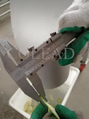 Industrial Fruit Slicing Machine in 5000 kgs
