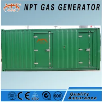 Customized 250 kw biomass gasification power with generator