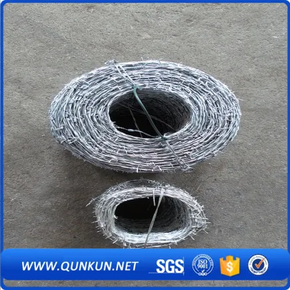 anti-theft galvanize barbed wire mesh