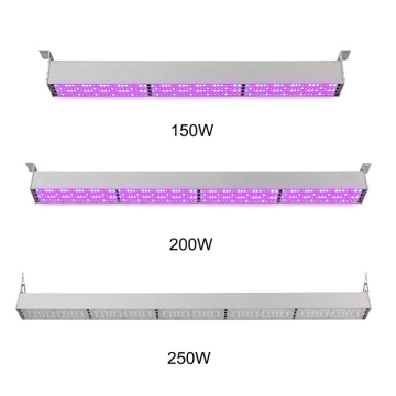 Luci di coltivazione a LED a spettro personalizzato per l'orticoltura - da 150W a 250 W