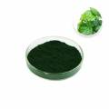 Chlorophyllin Supplement with Copper Sodium Salt