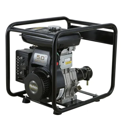 Gasoline Robin Engine Concrete Vibrator FY20