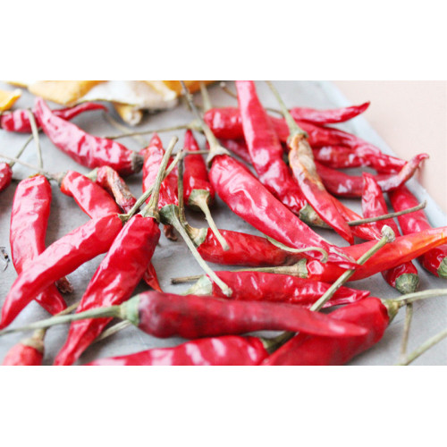 მშრალი წითელი ქაოტური chili