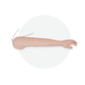 Advanced Intravenous Injection Arm