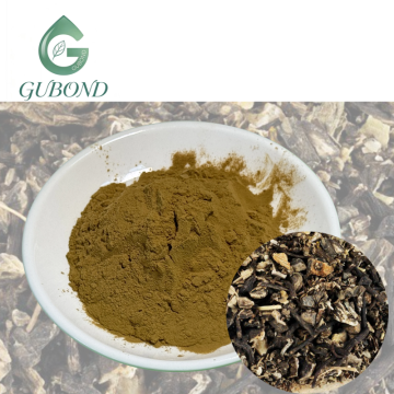 Black Cohosh Extract for Dietary Supplements
