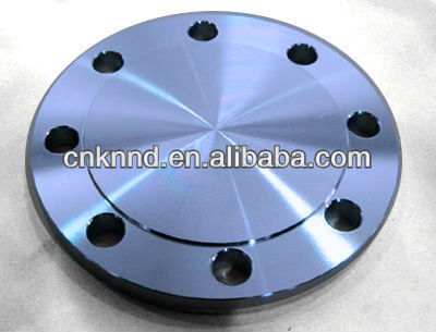 Stainless Steel Blind Flange