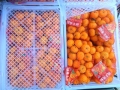 Fresh baby mandarinas naranjas hotsale