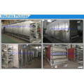 Multi Level Chamber Belt Dryer