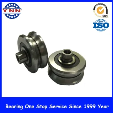 Non-Standard Deep Groove Ball Bearing