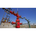 API 6A Wellhead Product