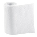 Daily Cheap Kitchen Roll Paper