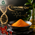 CoQ10 لتركيبات تغذية الطاقة الحديثة