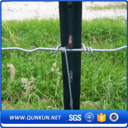 Australian Standard fence post