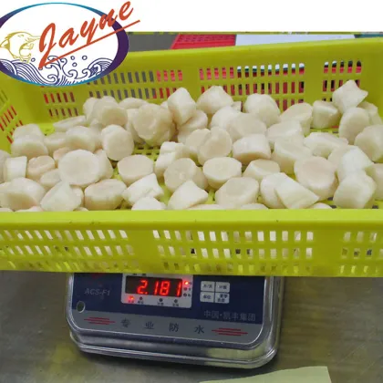 Dried Scallops Japanese Sea Frozen Scallops Meat For Sale High Quality And Good Price