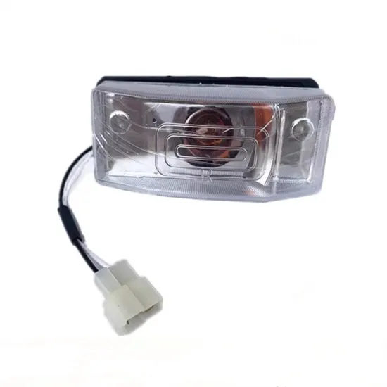 China Truck Parts Door Side Lights 4111Y004A0K00 for Model NJ1038