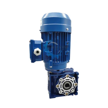 Worm Reduction Gearbox / Speed Reducer Motor