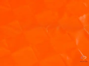 40D 100%Nylon Taffeta Fabric