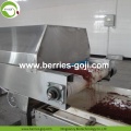 Factory Supply Vruchten Bulk B Grade Goji Berry