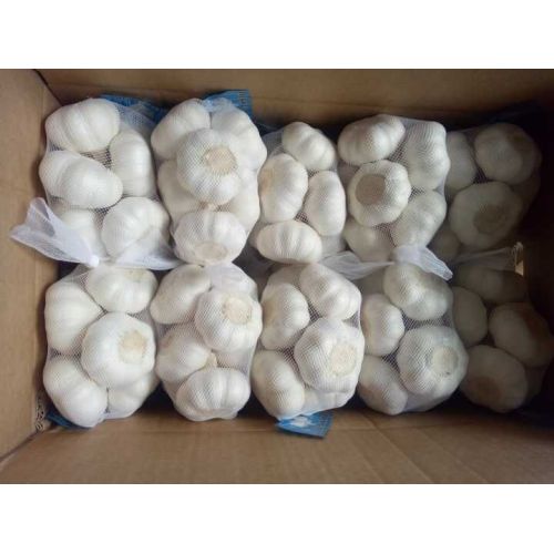 pabrik bahan bawang putih dari jinxiang