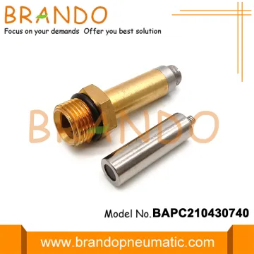 BAPC210430740 LPG CNG Automobile Gas Valve Armature