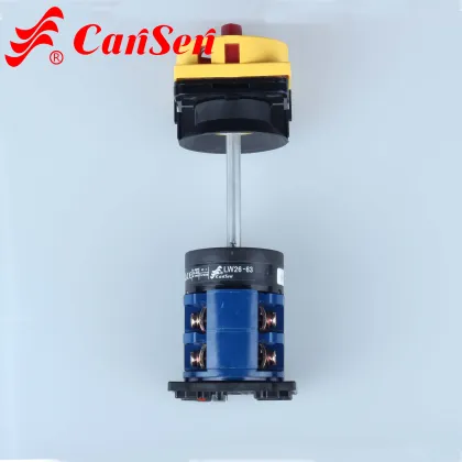 Cantak LW30-20 300040 Replacement KG41 Kraus&Naimer Switch