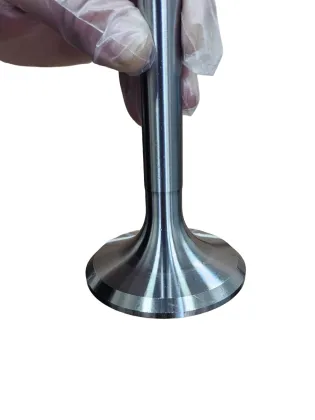 Russia Designed 6ch21/21 Diesel Engine Parts Valve INT EXH Valve