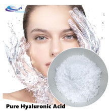 CAS 9004-61-9 Cosmetic Grade Pure Hyaluronic Acid powder