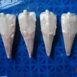 Frozen Fish Whold Round Monkfish Tails