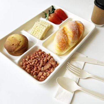 Biodegradable 5 compartment white bagasse plates
