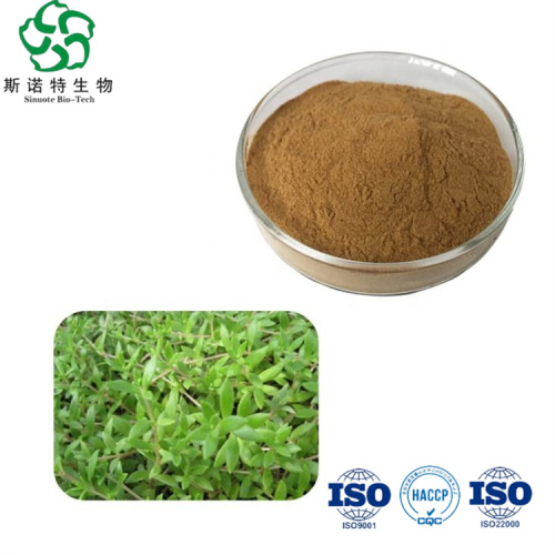 Pure Natural Sedum Sarmentosum Extract Powder