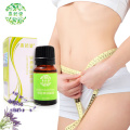 3Pcs/Lot Slimming Cellulite Massage Essential Oil Promote Fat Burn Thin Waist Stovepipe Body Firming Skin Treatment Lift Beauty