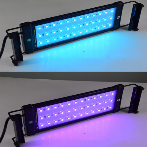 Lumière LED à haute luminosité de l&#39;éclat d&#39;aquarium