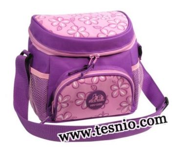 Cooler Bag for Frozen Food, Lunch Cooler Bags (Tesnio-CB1001)