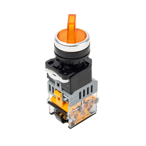 2 or 3 Position Selector Switch