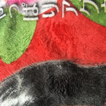 Aeon Heat Transfer Printing Equipment