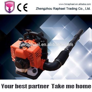 New design big power RLEB850 snow blower(6.5hp)
