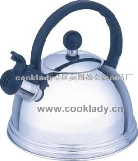 metal water kettle CL2090