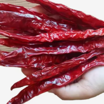 Premium Export Quality Dehydrated Chilies