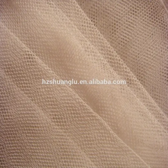 100%polyester fabric mesh in 100D with competitives price